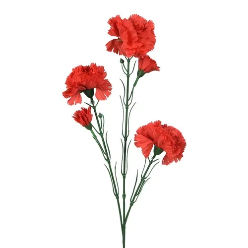 Karafiát – konár x5 65 cm red K193